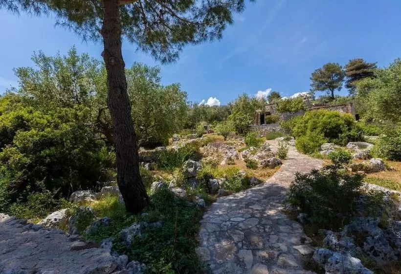 Majatalo Pajara Rugiada