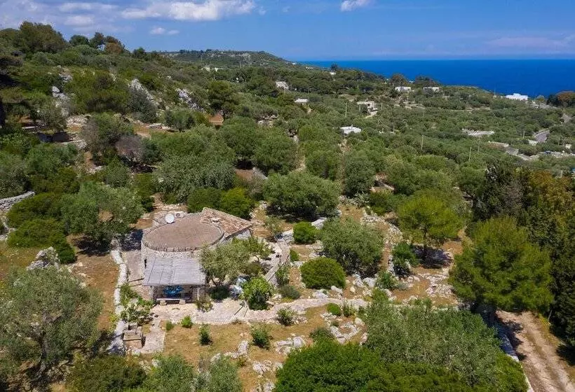 Majatalo Pajara Rugiada