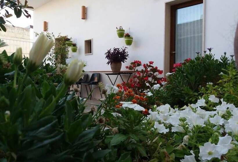 مبيت وإفطار Colle Carro