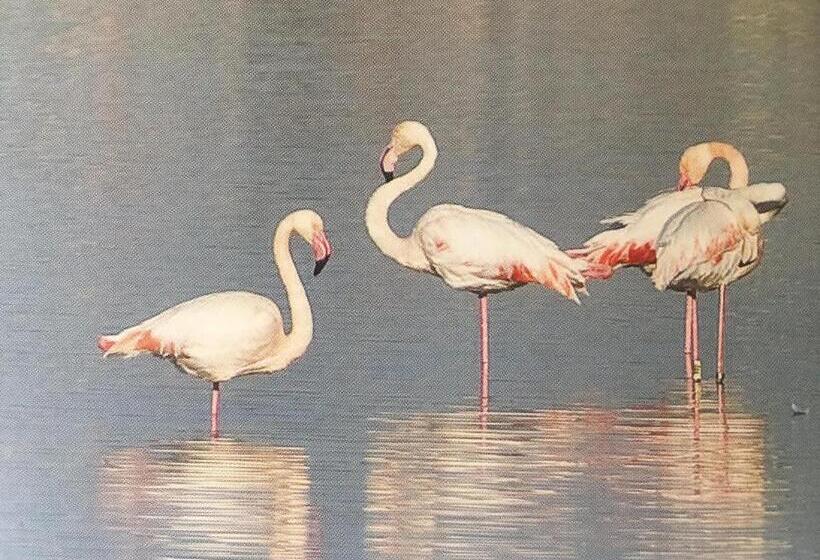 Nocleg ze śniadaniem Blue Sea Rooms Apartment Cagliari