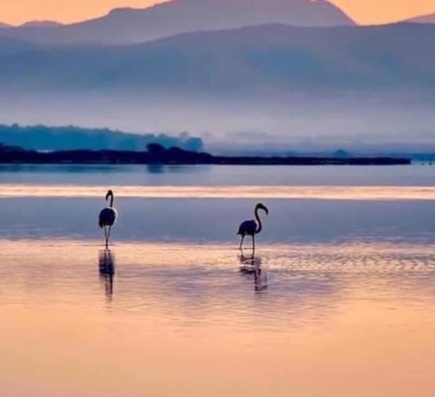 Nocleg ze śniadaniem Blue Sea Rooms Apartment Cagliari