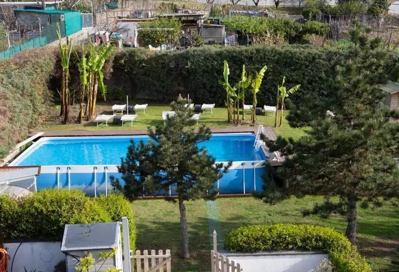 تختخواب و صبحانه Villa Bianca