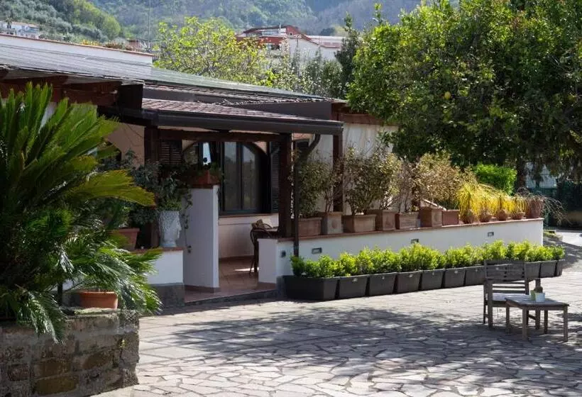 تختخواب و صبحانه Villa Bianca