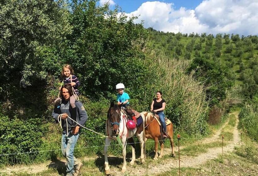 בית מלון כפרי Agriturismo Antico Loggiato