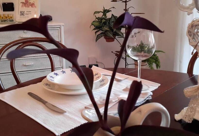 פנסיון Betì House Fiera Airport Guesthouse