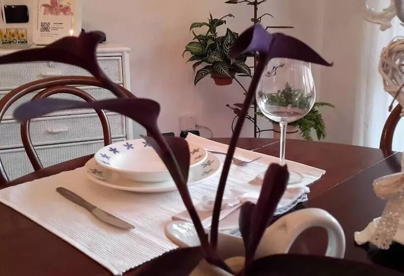 پانسیون Betì House Fiera Airport Guesthouse