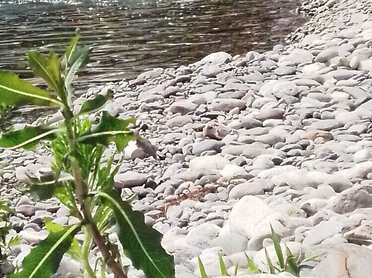 B&b Milano Malpensa 1