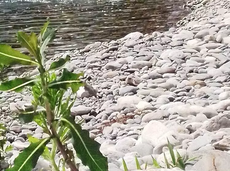 B&b Milano Malpensa 1