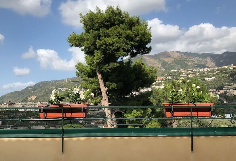 مبيت وإفطار Vesuvio View