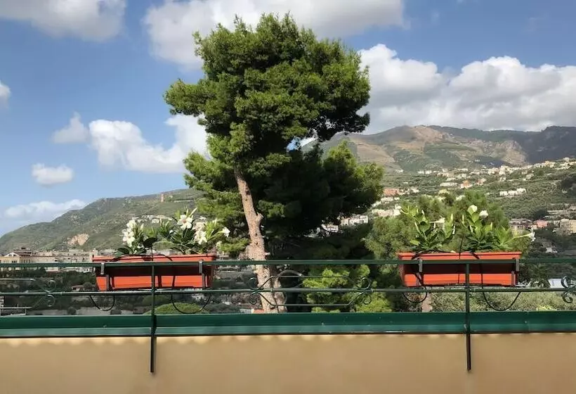 Aamiaismajoitus (B&B) Vesuvio View