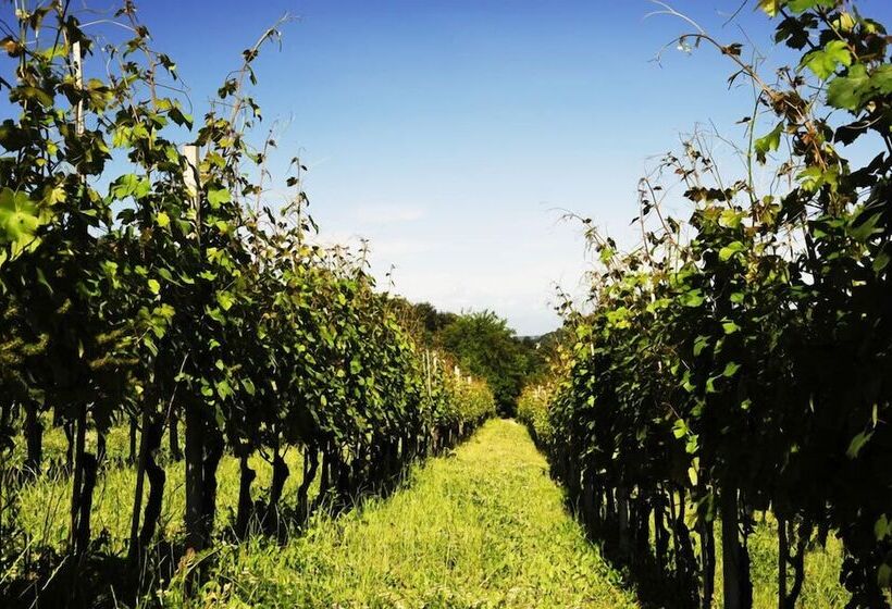 교외 호텔 Agriturismo La Bioca