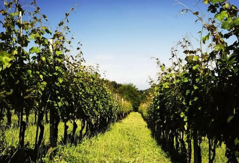 田舎風ホテル Agriturismo La Bioca