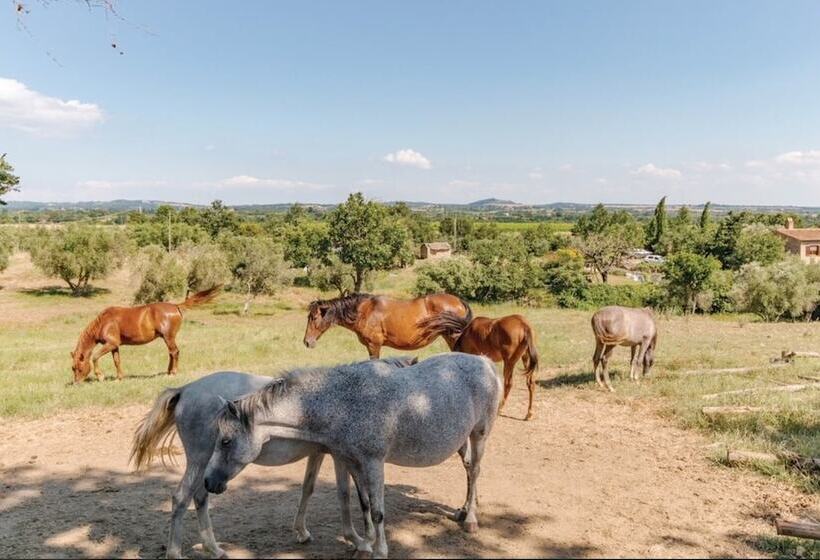 בית מלון כפרי Bio Agriturismo Il Cavone