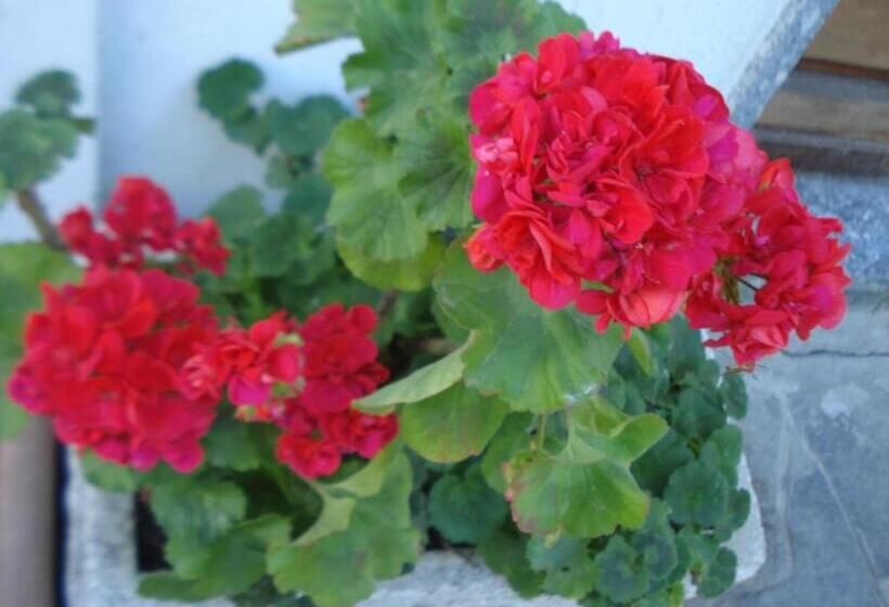 Casa T Bed And Breakfast & Home Restaurant Di Tacchino Simone