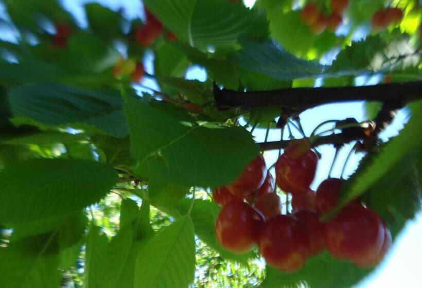 Casa T Bed And Breakfast & Home Restaurant Di Tacchino Simone