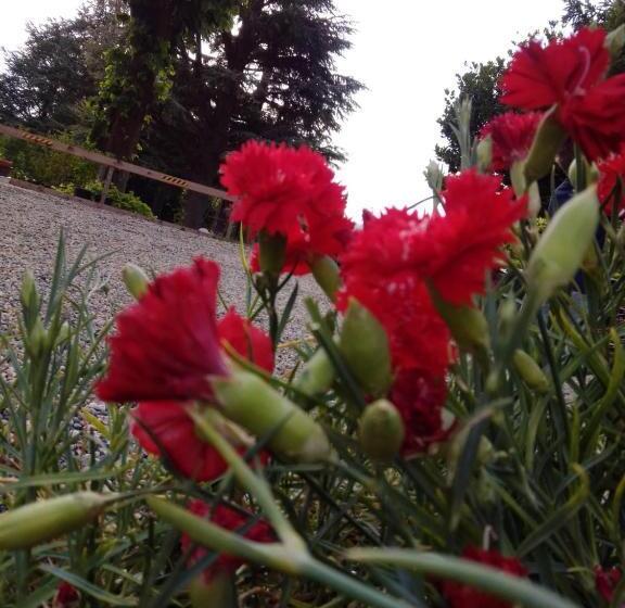 Casa T Bed And Breakfast & Home Restaurant Di Tacchino Simone