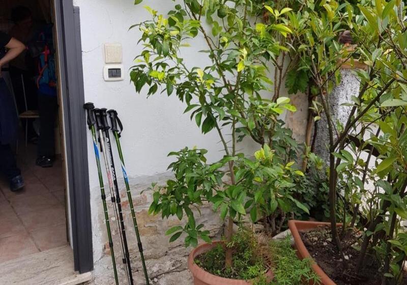 Monte Degli Elci B&b