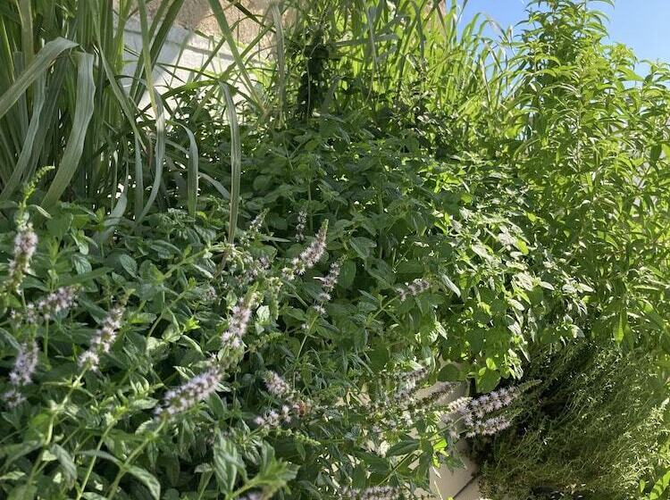 펜션 Corte Baracca B&b Suite