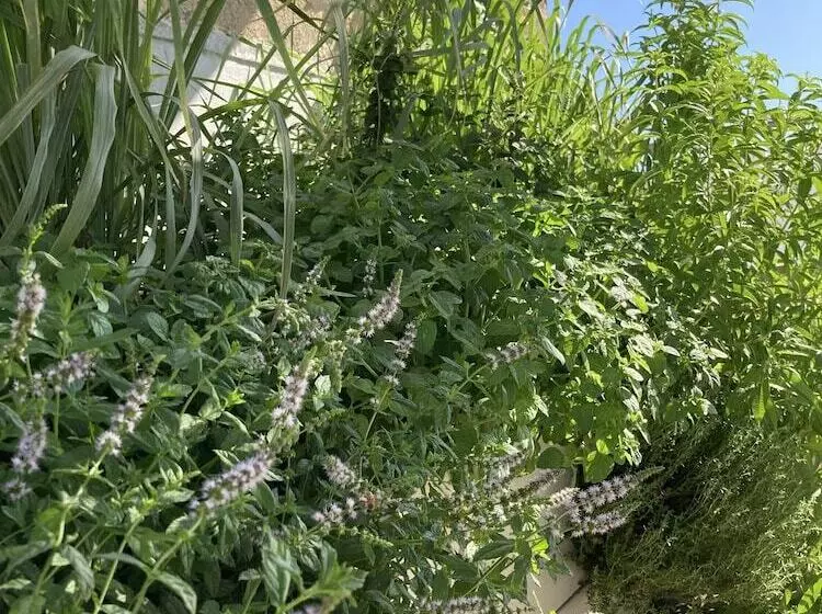 Majatalo Corte Baracca B&b Suite