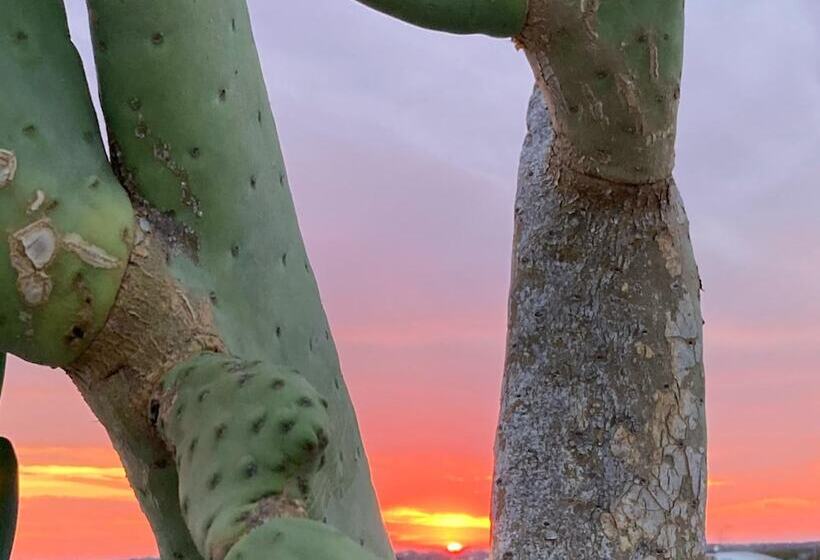 펜션 Corte Baracca B&b Suite