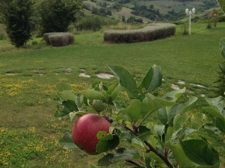 Aamiaismajoitus (B&B) Villa Casula