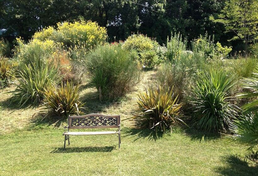 Bed and Breakfast Villa Casula