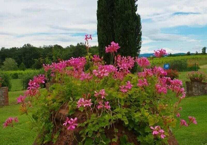 田舎風ホテル Agriturismo Il Sole Verde