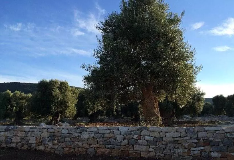 田舎風ホテル Masseria Capece