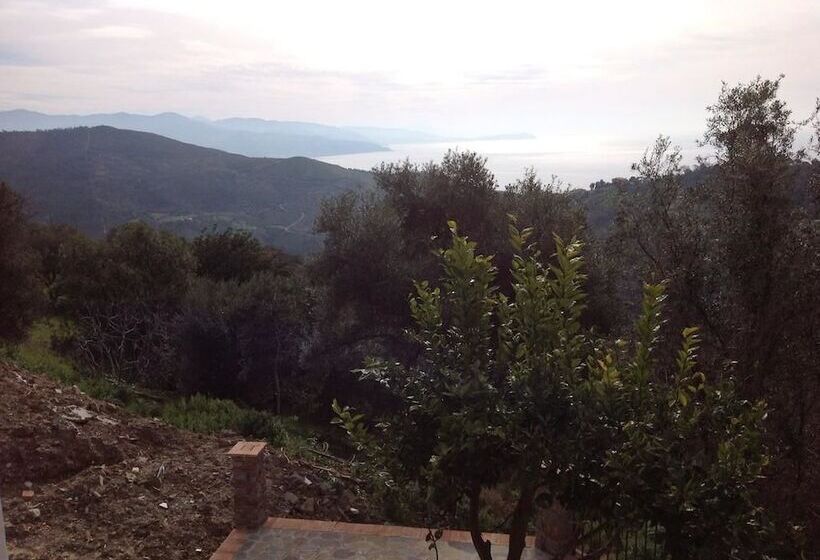 펜션 La Torretta Di Pollica