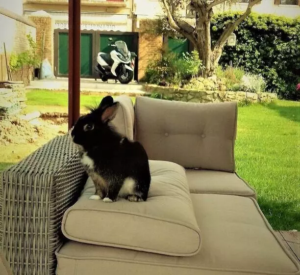 Villa Alessi B&b