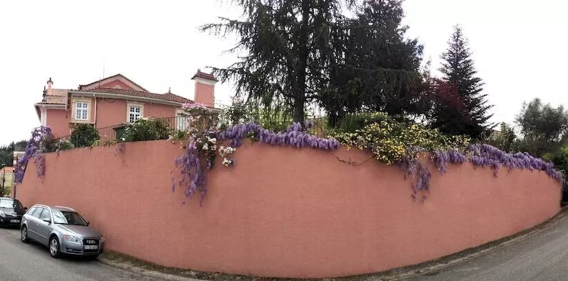 בית מלון כפרי Alegre   Bussaco Boutique