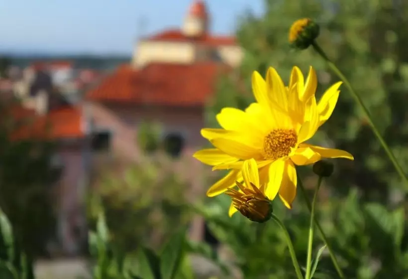 בית מלון כפרי Alegre   Bussaco Boutique