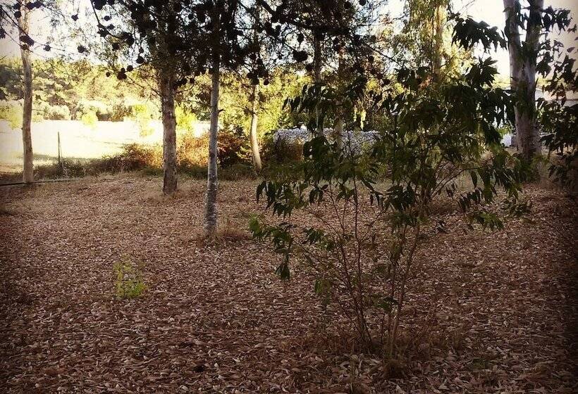 B&b Masseria Donna Carlotta