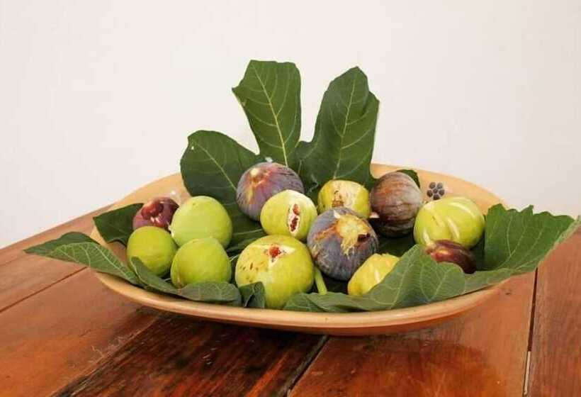 B&b Masseria Donna Carlotta