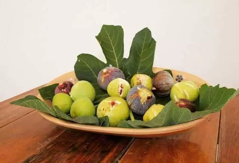 B&b Masseria Donna Carlotta