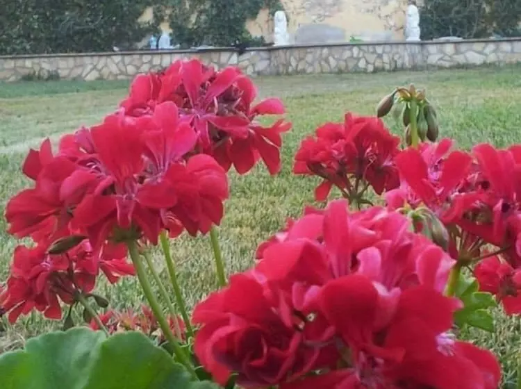 B&b Nonna Grazia