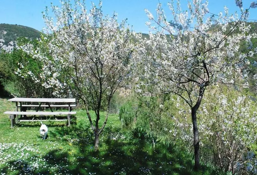 B&b Villa Taddea