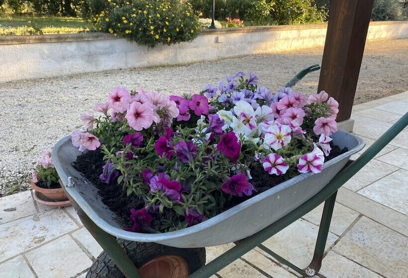 تختخواب و صبحانه Il Trullo Di Giulietta