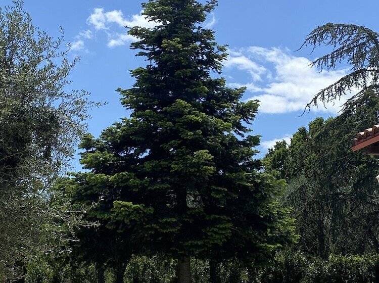 تختخواب و صبحانه Il Trullo Di Giulietta
