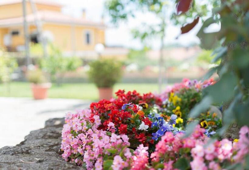 Bed And Breakfast Nonna Loreta