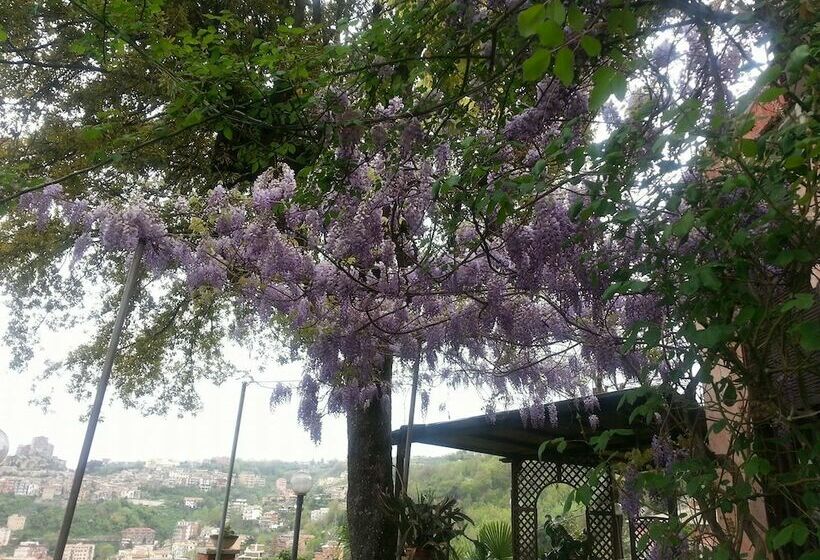 Bed & Breakfast Ristorante Belvedere