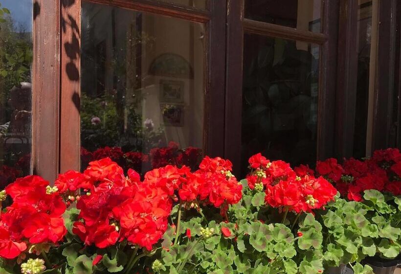 Bed & Breakfast Ristorante Belvedere