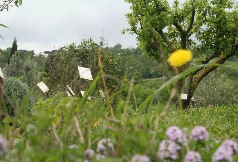 田舎風ホテル Agriturismo L Antica Sosta