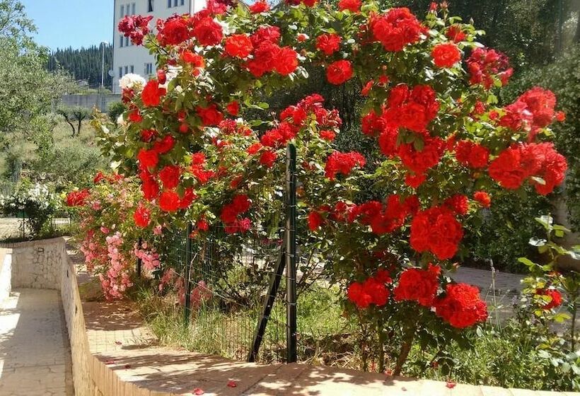 Пансион Dianum Villa Degli Ulivi