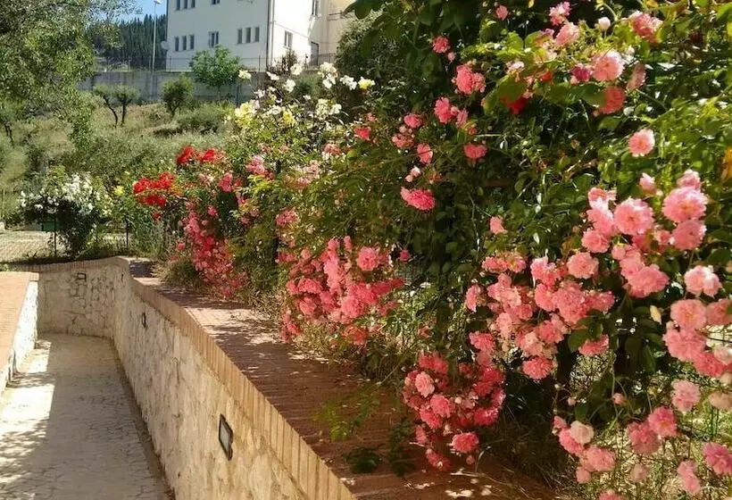 ペンション Dianum Villa Degli Ulivi