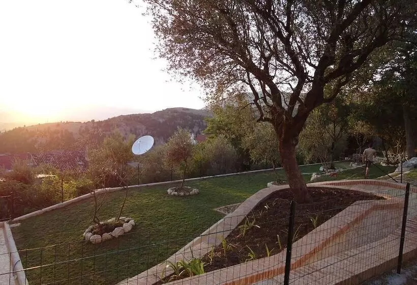 ペンション Dianum Villa Degli Ulivi