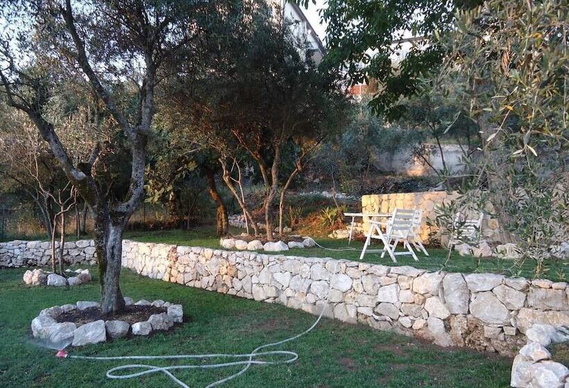 Пансион Dianum Villa Degli Ulivi