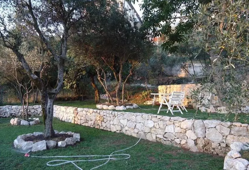ペンション Dianum Villa Degli Ulivi