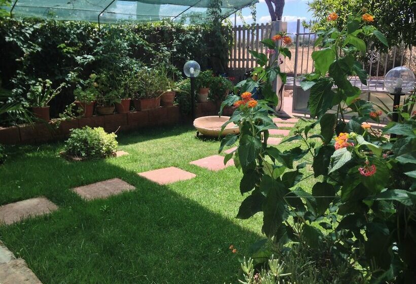 住宿加早餐  Il Mirto Bianco