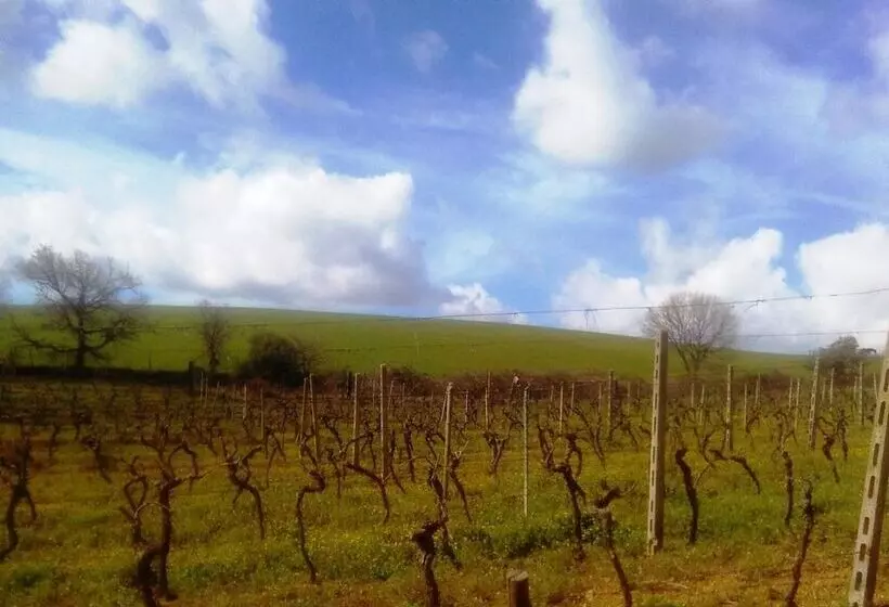 هتل روستایی Il Cantiniere